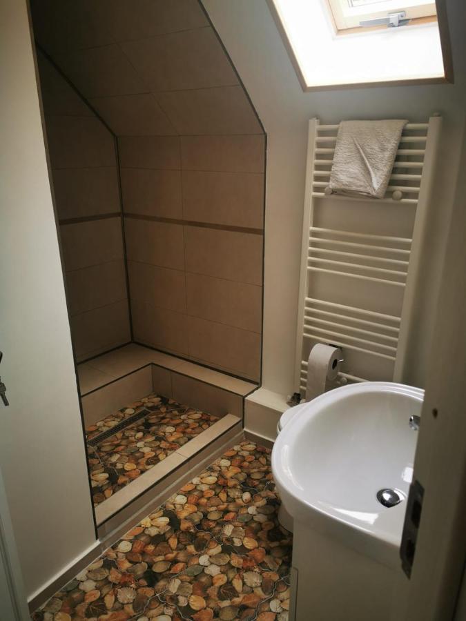 Cabana "Trei Brazi " Retezat Riu de Mori Exterior photo